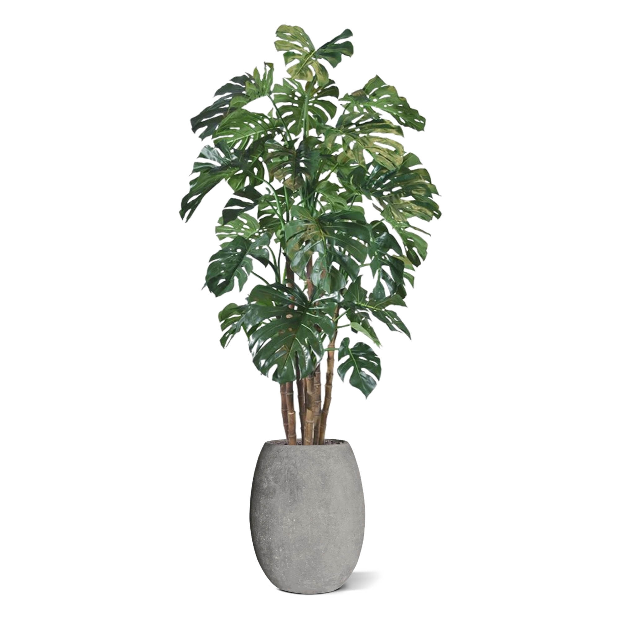 Albero artificiale Monstera Giant deluxe 210 cm