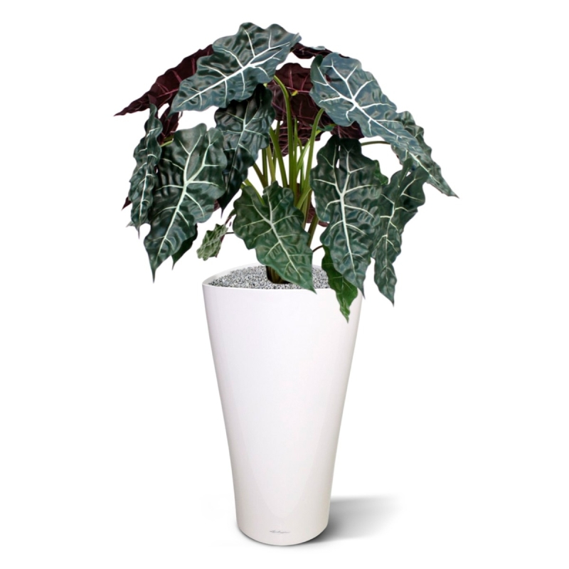 Alocasia pianta artificiale 75cm