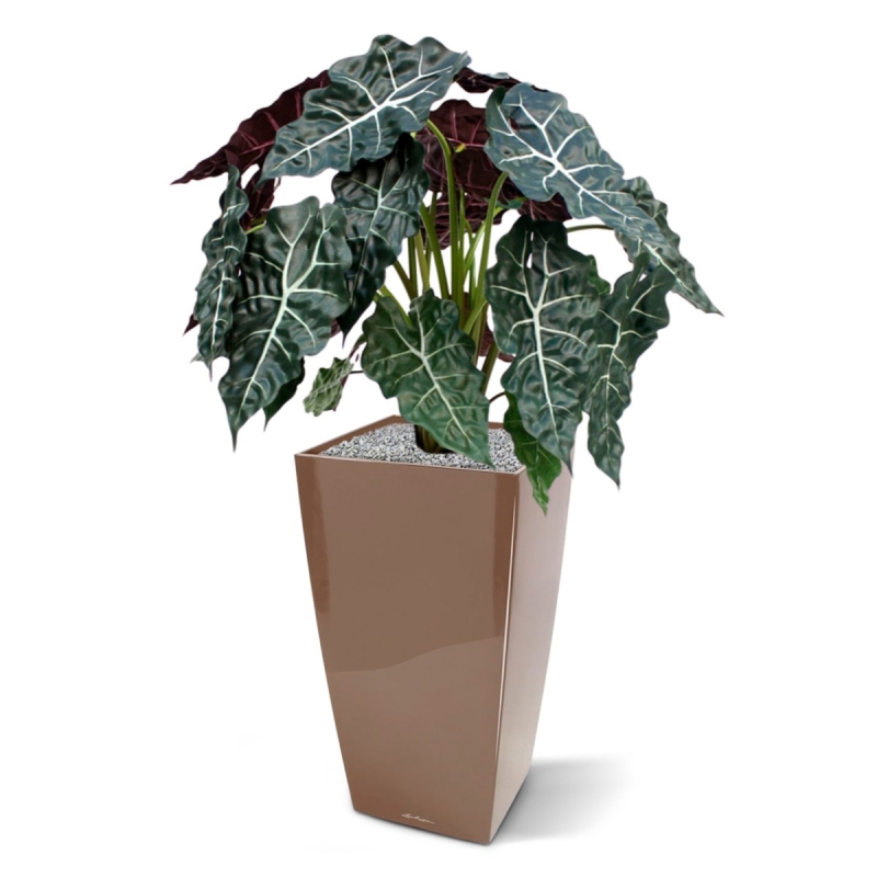 Alocasia pianta artificiale 75cm