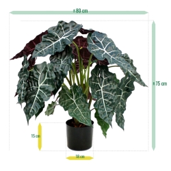 Alocasia pianta artificiale 75cm