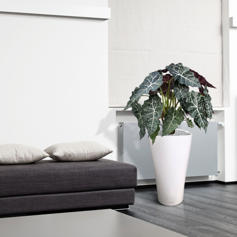 Alocasia pianta artificiale 75cm