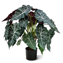 Alocasia pianta artificiale 75cm