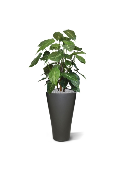 Syngonium deluxe pianta artificiale 85 cm