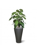 Syngonium deluxe pianta artificiale 85 cm