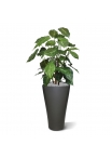 Syngonium deluxe pianta artificiale 85 cm