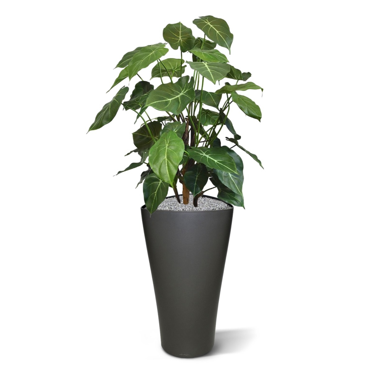 Syngonium deluxe pianta artificiale 85 cm