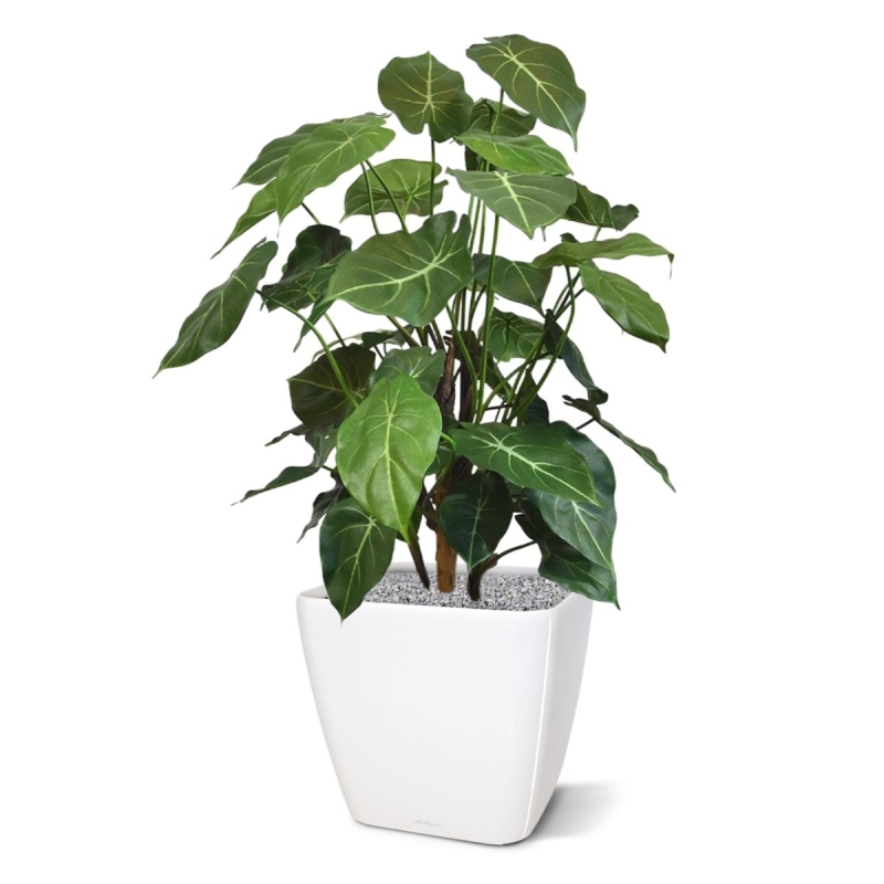 Syngonium deluxe pianta artificiale 85 cm