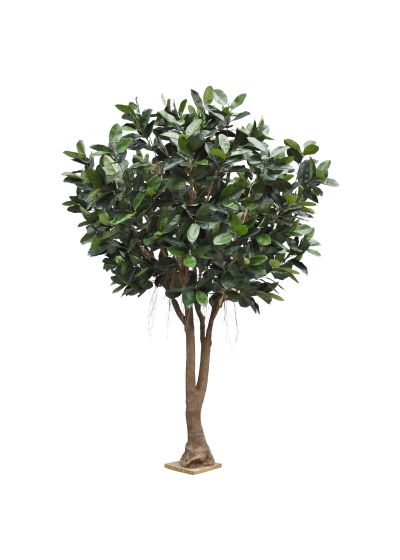 Albero artificiale Ficus Elastica Robusta Deluxe XXL 350 cm