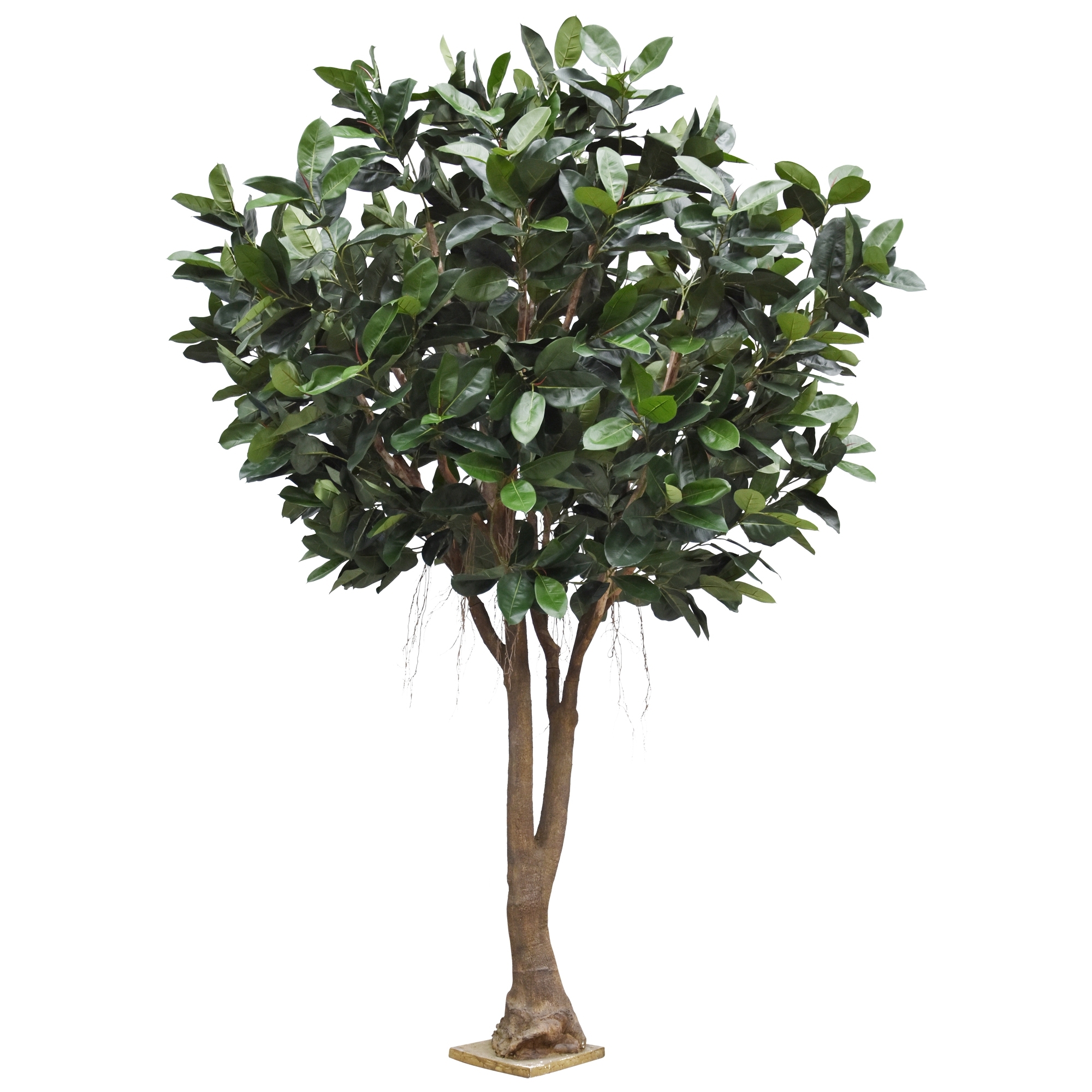 Albero artificiale Ficus Elastica Robusta Deluxe XXL 350 cm