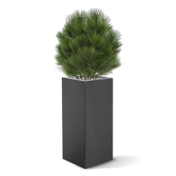 Pianta artificiale a bulbo di Pinus 60 cm - resistente ai raggi UV