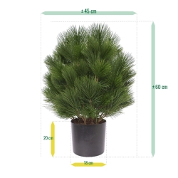 Pianta artificiale a bulbo di Pinus 60 cm - resistente ai raggi UV