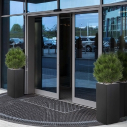 Pianta artificiale a bulbo di Pinus 60 cm - resistente ai raggi UV