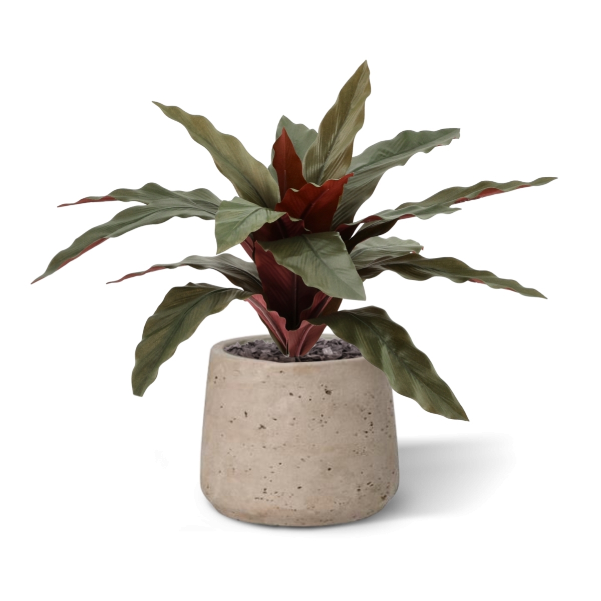 Pianta Calathea Artificiale 30cm Verde-Rosso