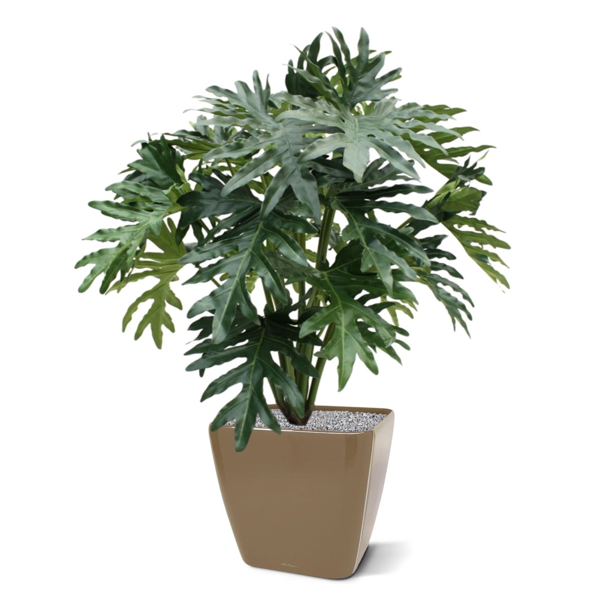 Pianta artificiale Philo Selloum 100 cm