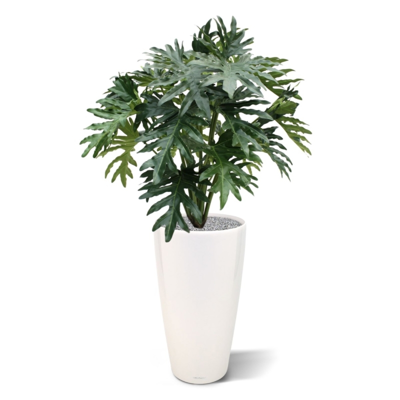Pianta artificiale Philo Selloum 100 cm