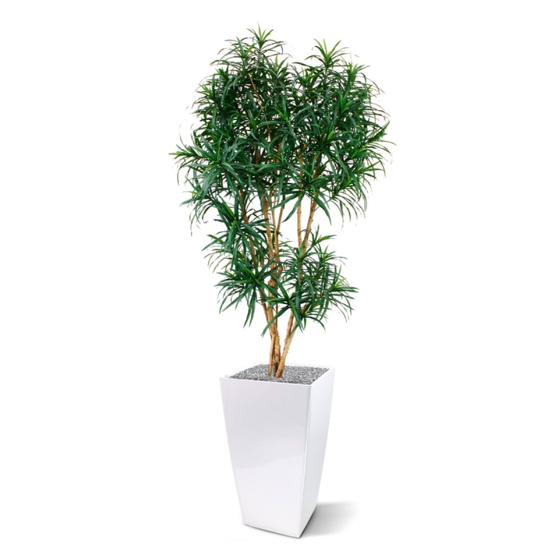 Draceana Reflexa XL albero artificiale 190 cm - verde