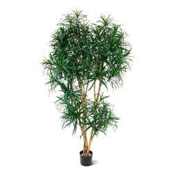 Draceana Reflexa XL albero artificiale 190 cm - verde