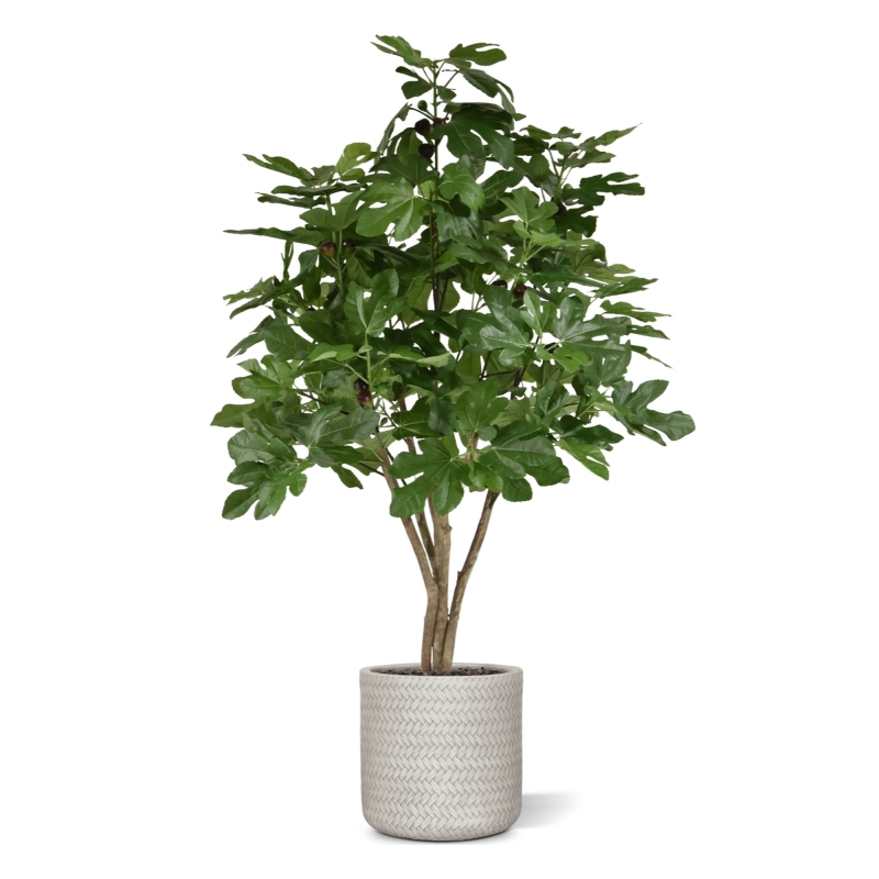 Albero artificiale di fico 120 cm