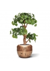 Albero artificiale Ginkgo Bonsai deluxe 95cm