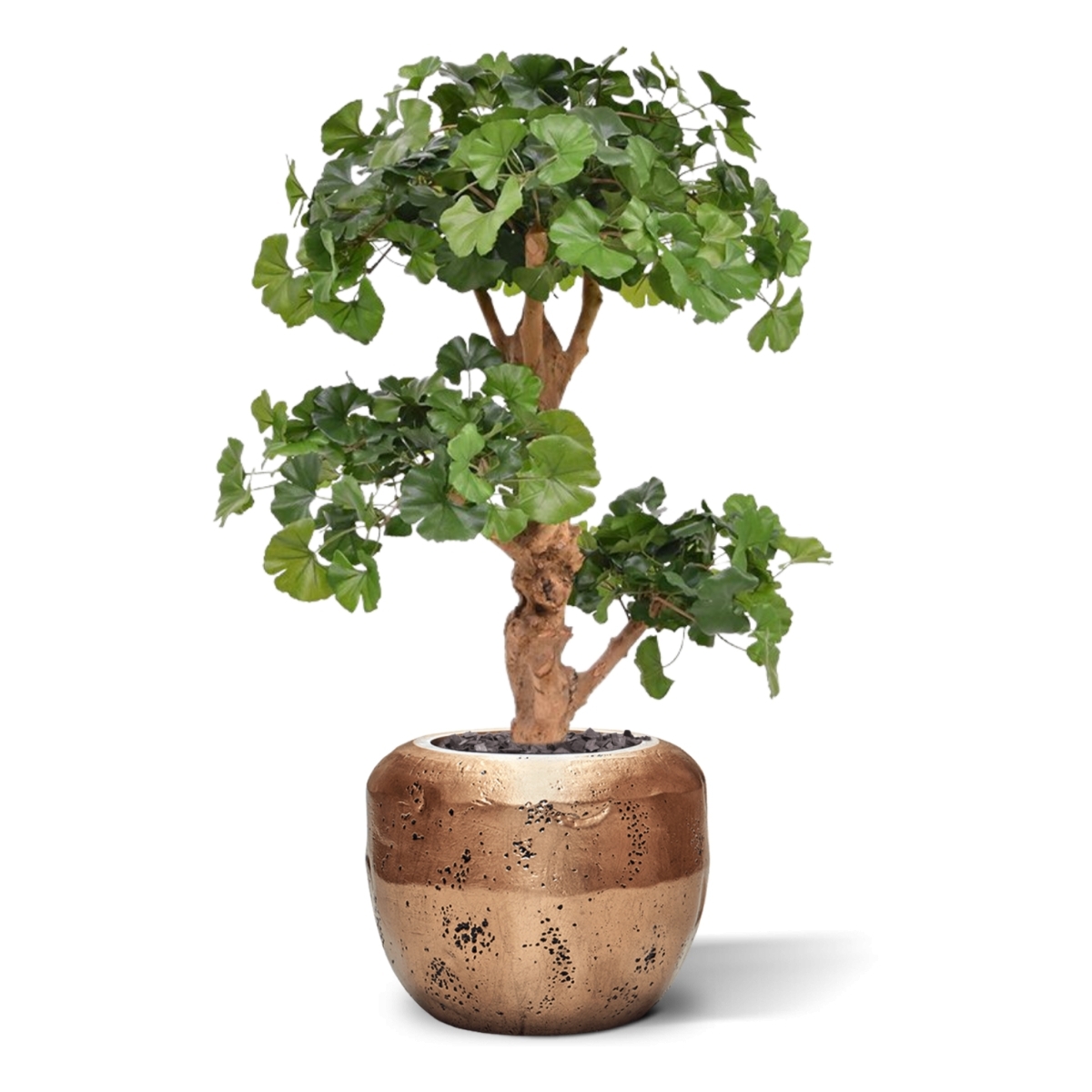 Albero artificiale Ginkgo Bonsai deluxe 95cm