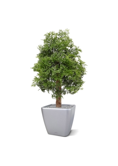 Pianta artificiale Ming Aralia UV 90cm