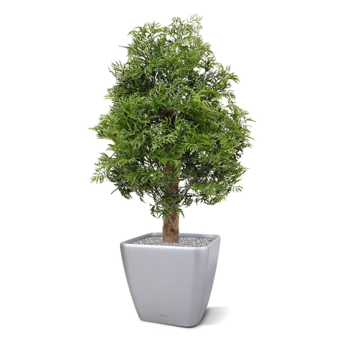 Pianta artificiale Ming Aralia UV 90cm