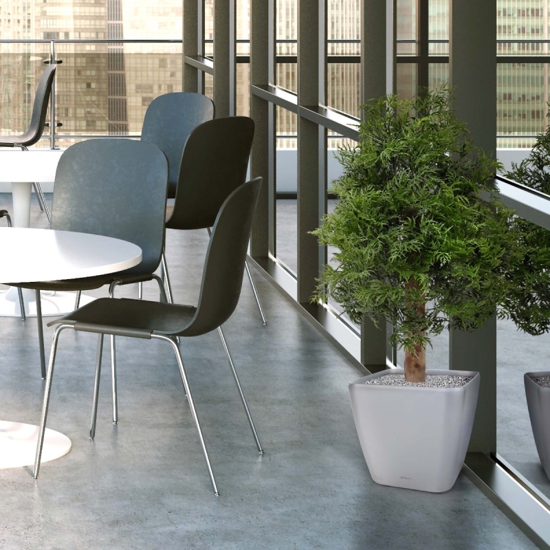 Pianta artificiale Ming Aralia UV 90cm