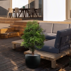 Pianta artificiale Ming Aralia UV 90cm