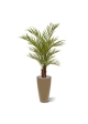 Palma artificiale Areca deluxe 150 cm