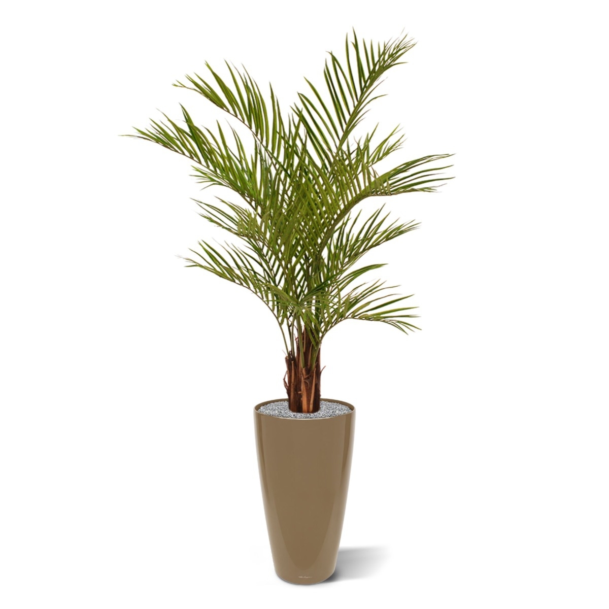 Palma artificiale Areca deluxe 150 cm