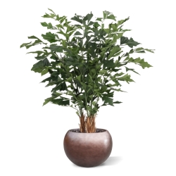 Palma artificiale Fishtail Deluxe 160 cm