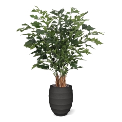 Palma artificiale Fishtail Deluxe 160 cm