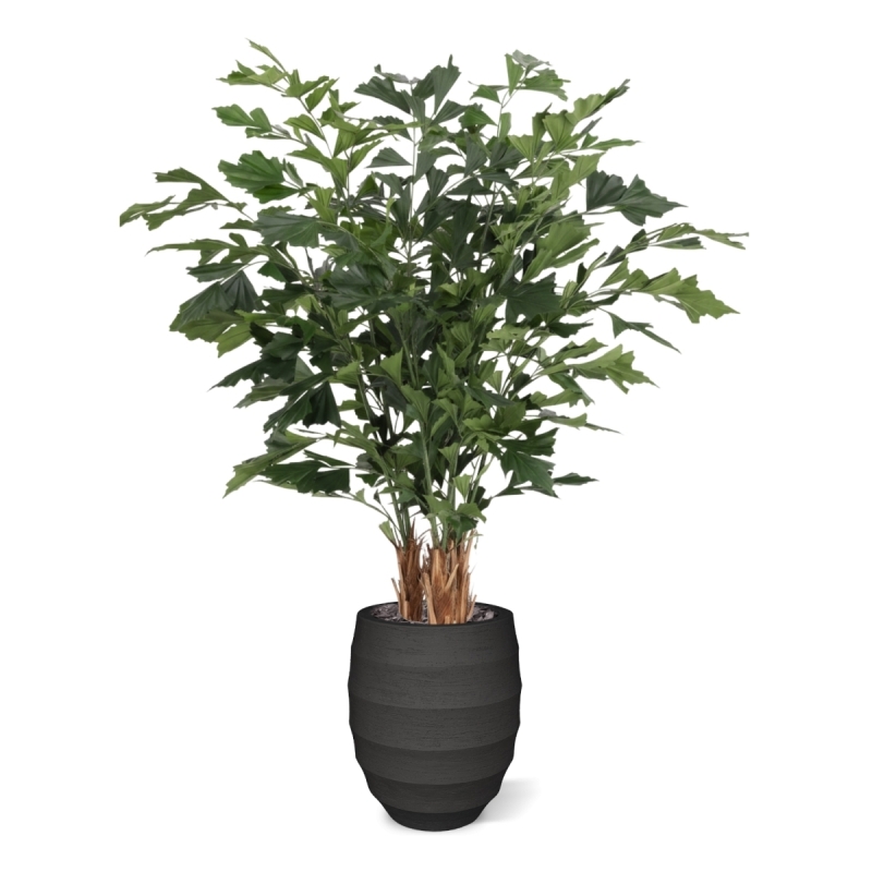 Palma artificiale Fishtail Deluxe 160 cm