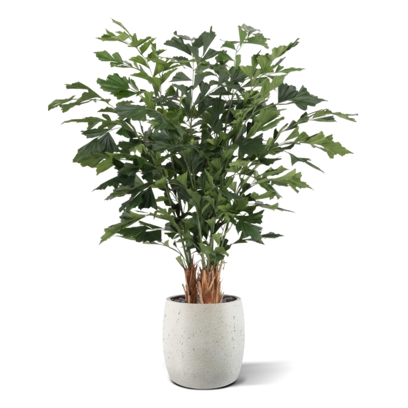 Palma artificiale Fishtail Deluxe 160 cm