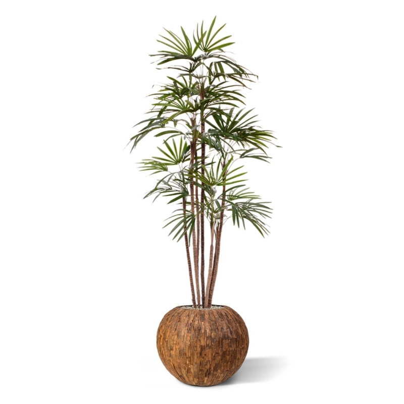 Palma artificiale Raphis Promo 170cm