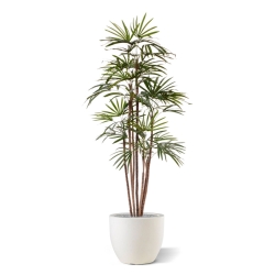 Palma artificiale Raphis Promo 170cm