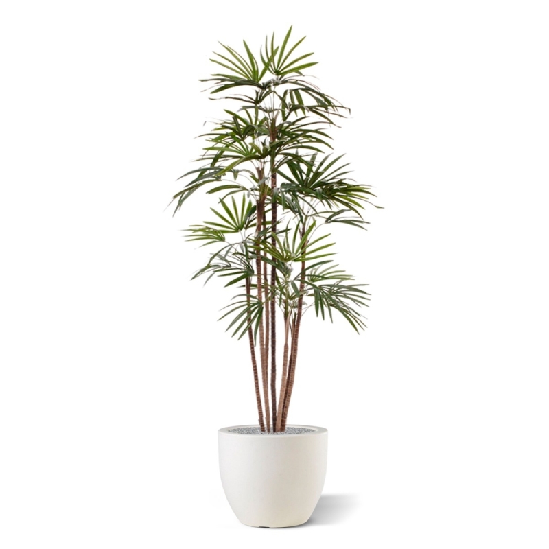 Palma artificiale Raphis Promo 170cm