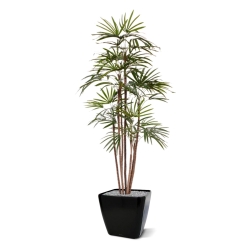 Palma artificiale Raphis Promo 170cm