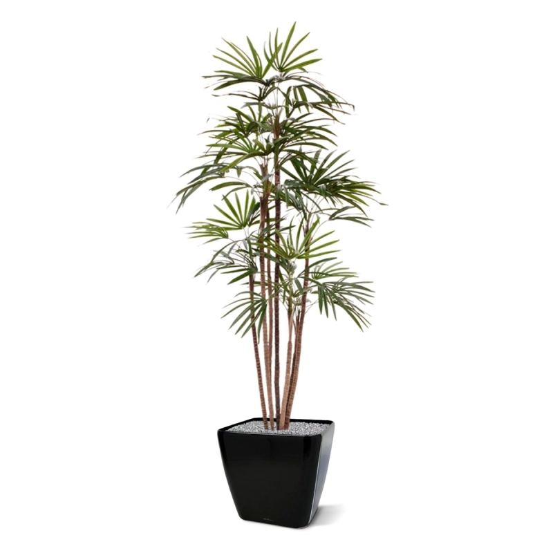 Palma artificiale Raphis Promo 170cm
