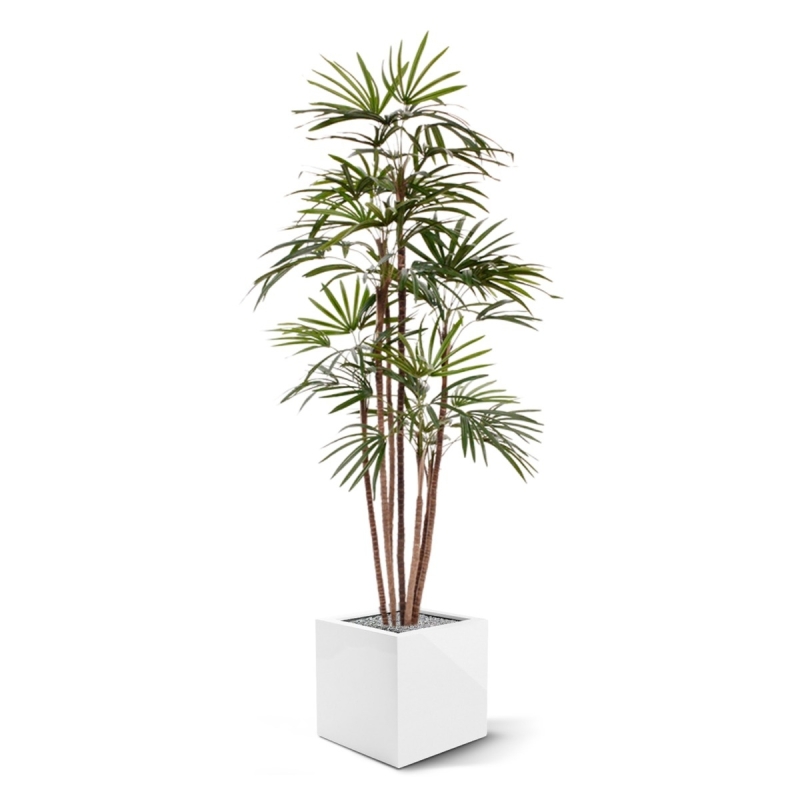 Palma artificiale Raphis Promo 170cm