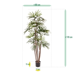 Palma artificiale Raphis Promo 170cm