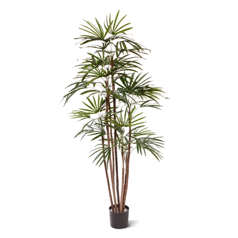 Palma artificiale Raphis Promo 170cm