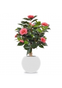 Pianta artificiale di camelia su base 65 cm - rosa