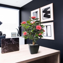 Pianta artificiale di camelia su base 65 cm - rosa