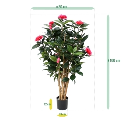 Camelia Japonica Deluxe 100 cm rosa