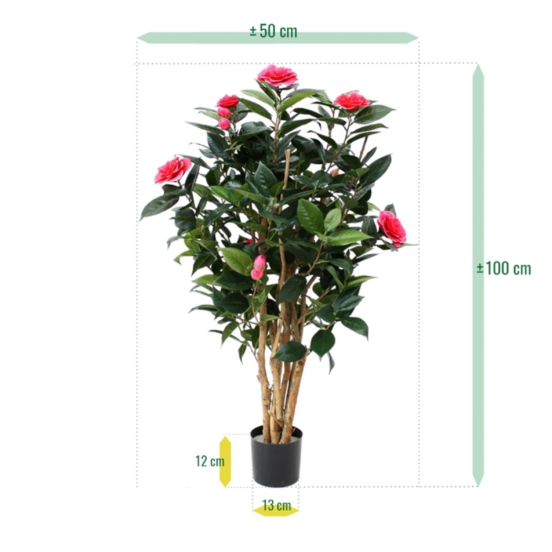 Camelia Japonica Deluxe 100 cm rosa