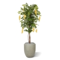 Albero artificiale di glicine 150 cm giallo