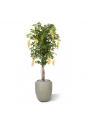 Albero artificiale di glicine 150 cm giallo