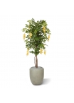 Albero artificiale di glicine 150 cm giallo