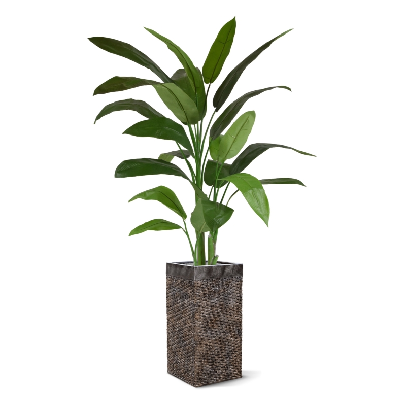 Heleconia artificiale verde 170 cm in vaso